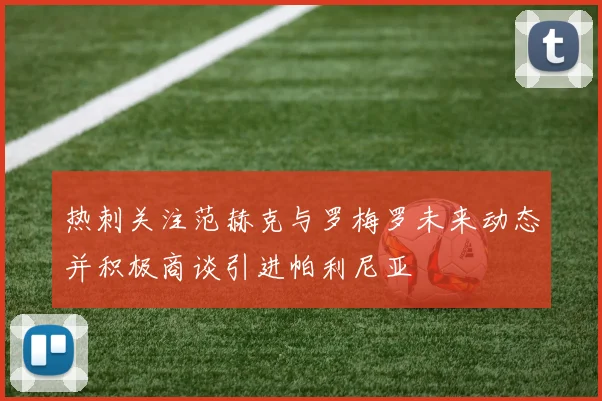 热刺关注范赫克与罗梅罗未来动态并积极商谈引进帕利尼亚